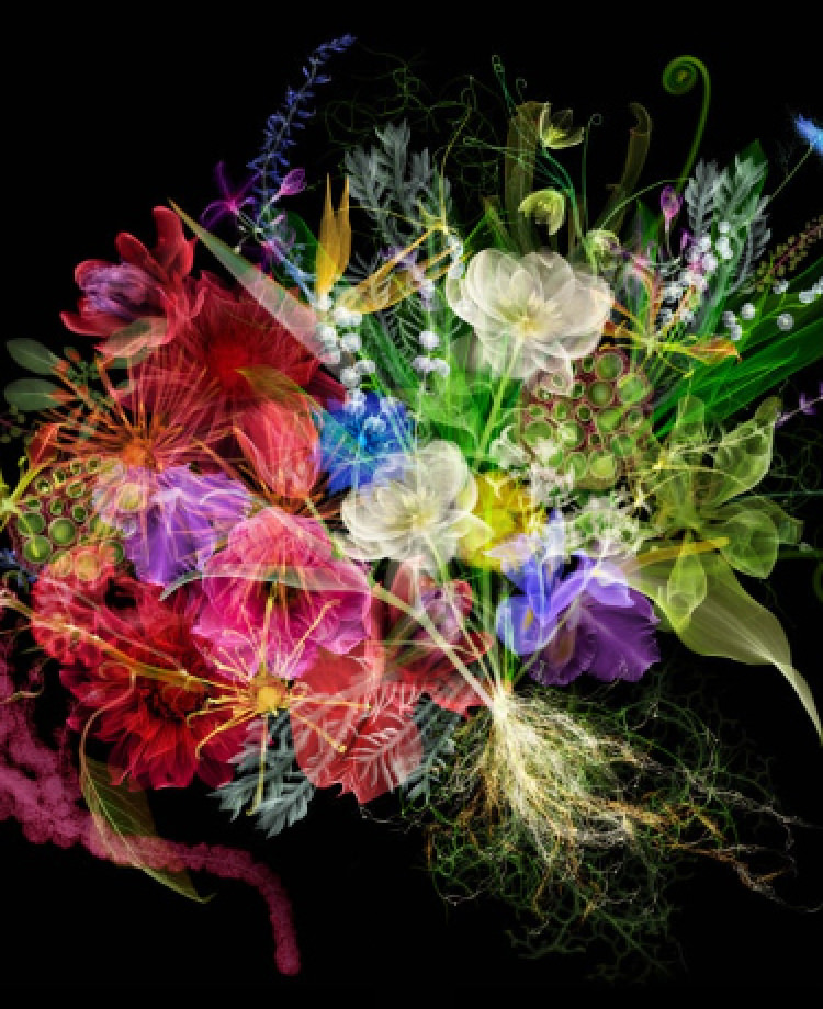 POLA Inc. B.A. LP 2022 ver.