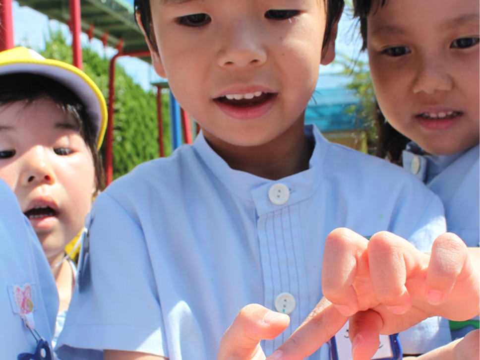 藤が丘幼稚園 Official Site