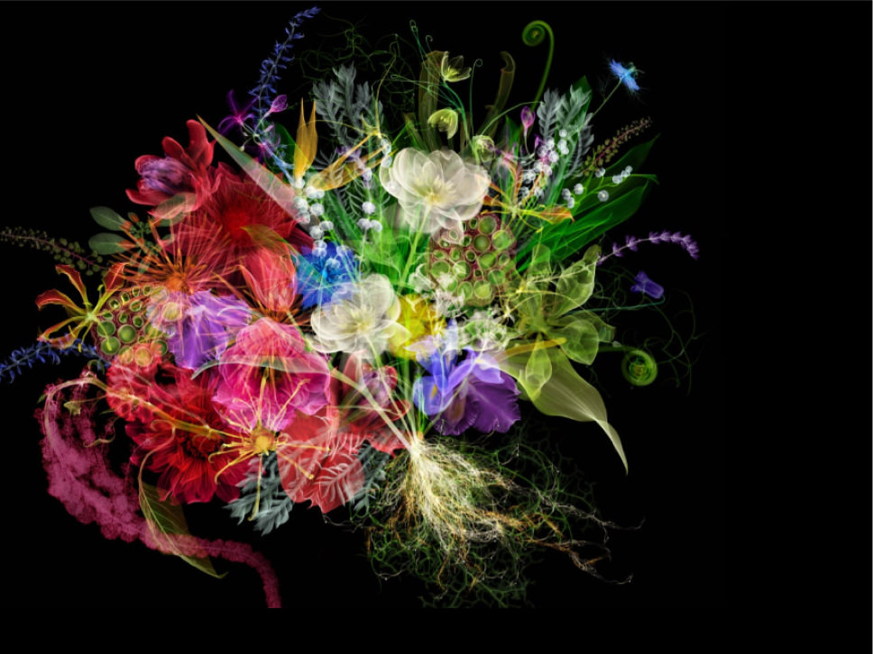 POLA Inc. B.A. LP 2022 ver.